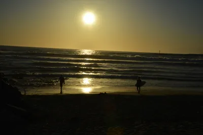 DSC_7282 (Large).JPG